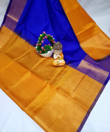 Pure Handloom Uppada Pattu Saree